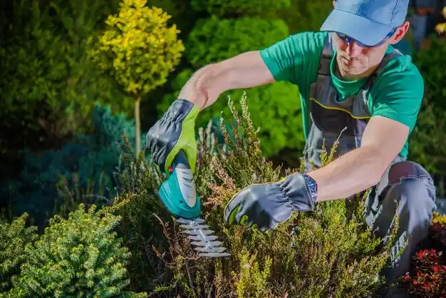 landscaping services Morganza